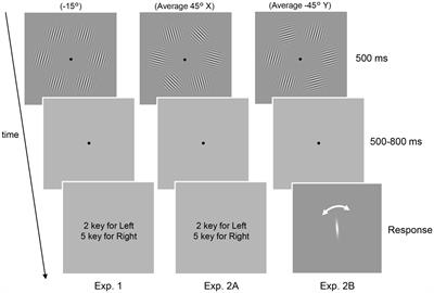 Decoding time-resolved neural representations of orientation ensemble perception